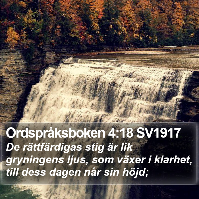 Ordspråksboken 4:18 SV1917 Bible Study