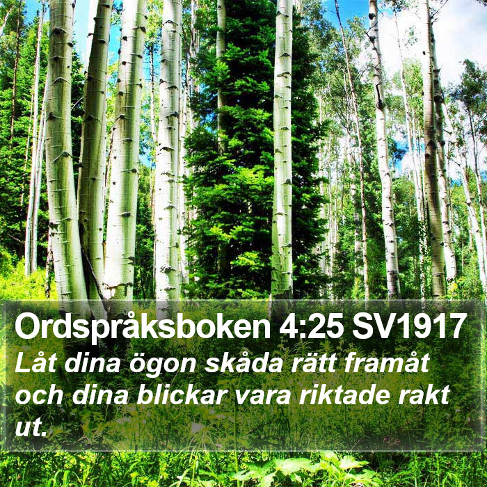 Ordspråksboken 4:25 SV1917 Bible Study