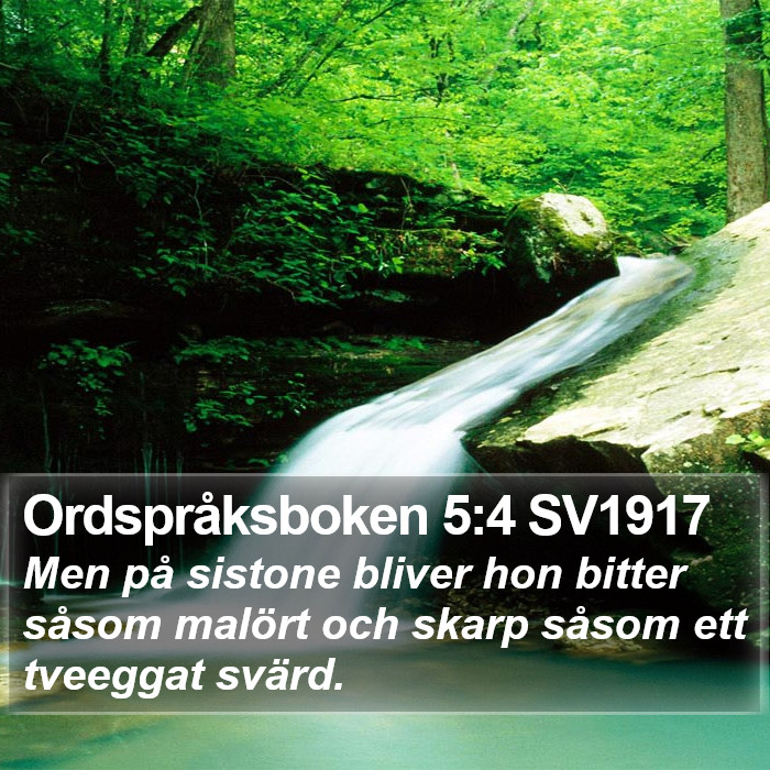 Ordspråksboken 5:4 SV1917 Bible Study