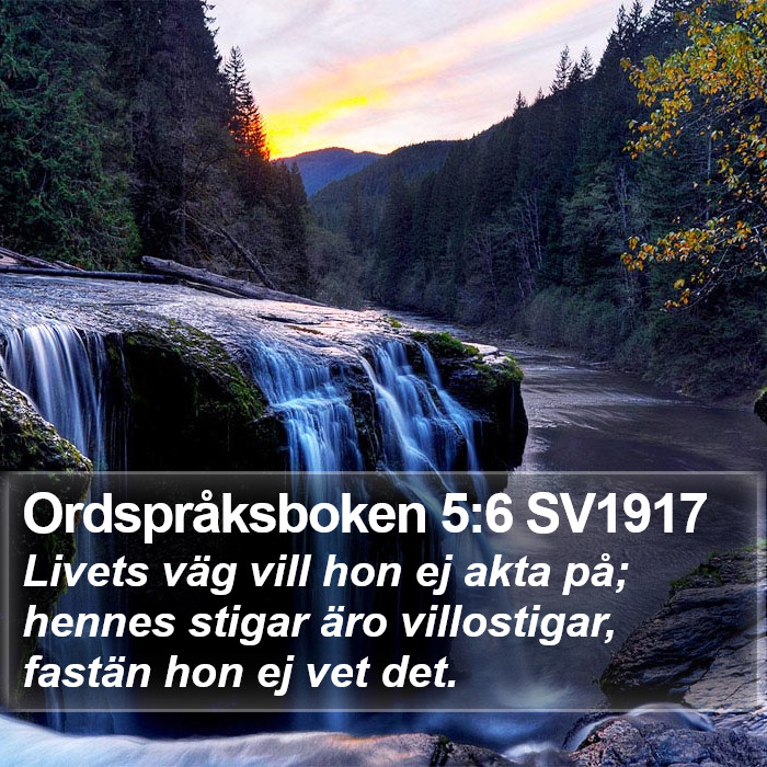 Ordspråksboken 5:6 SV1917 Bible Study
