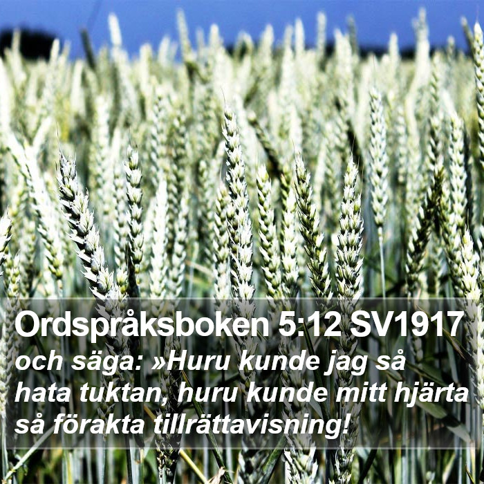 Ordspråksboken 5:12 SV1917 Bible Study