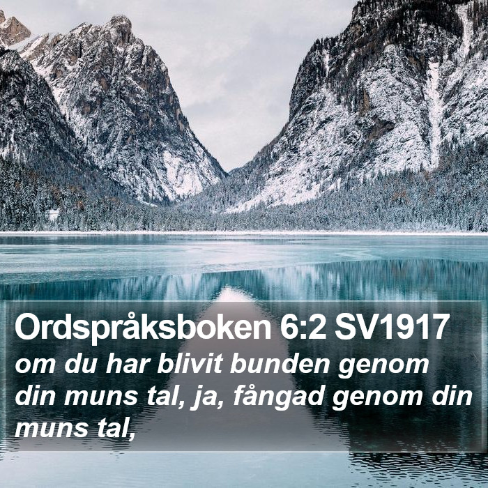 Ordspråksboken 6:2 SV1917 Bible Study