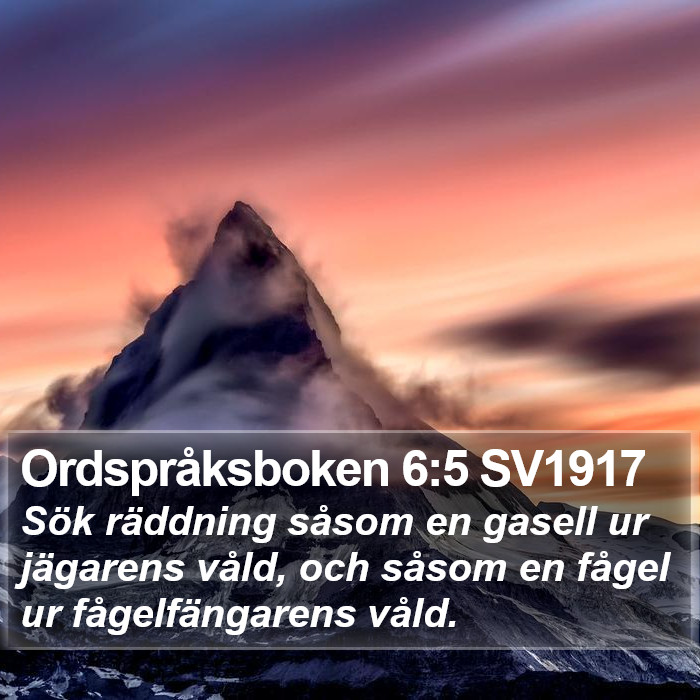 Ordspråksboken 6:5 SV1917 Bible Study