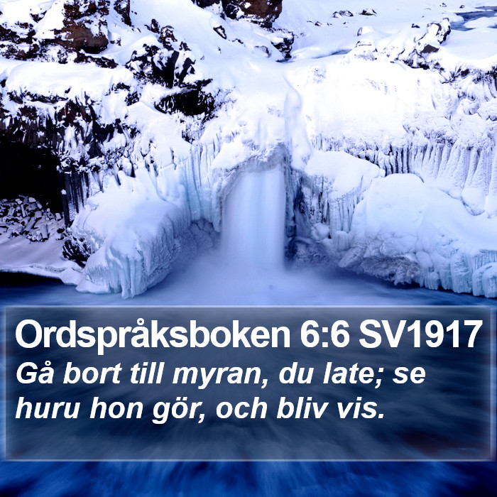 Ordspråksboken 6:6 SV1917 Bible Study