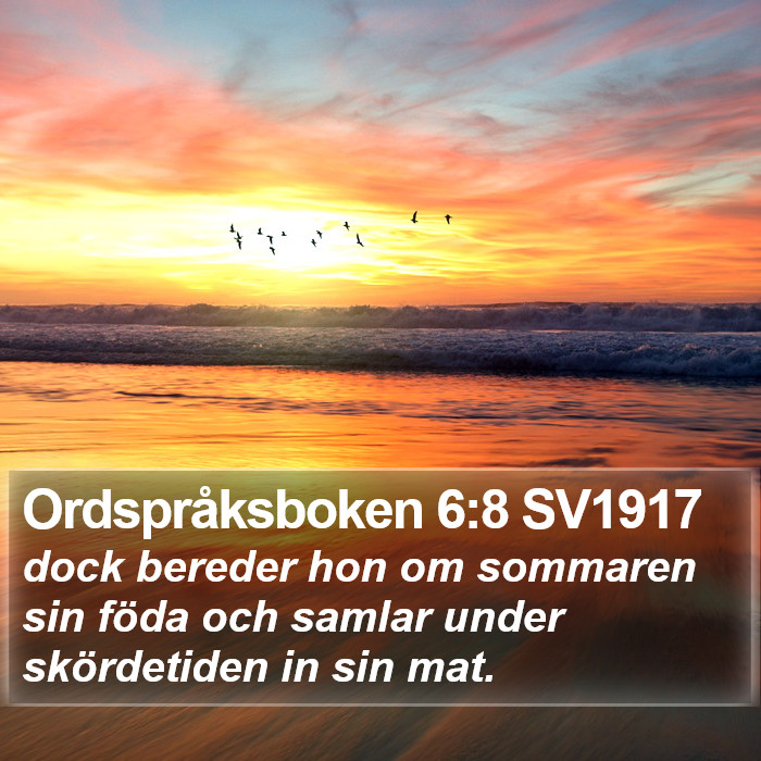 Ordspråksboken 6:8 SV1917 Bible Study