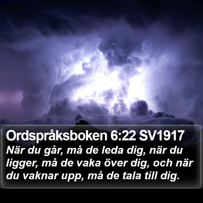 Ordspråksboken 6:22 SV1917 Bible Study