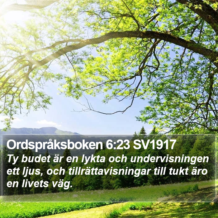 Ordspråksboken 6:23 SV1917 Bible Study