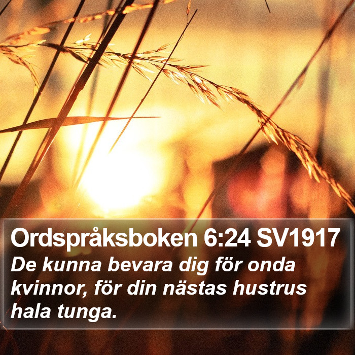 Ordspråksboken 6:24 SV1917 Bible Study