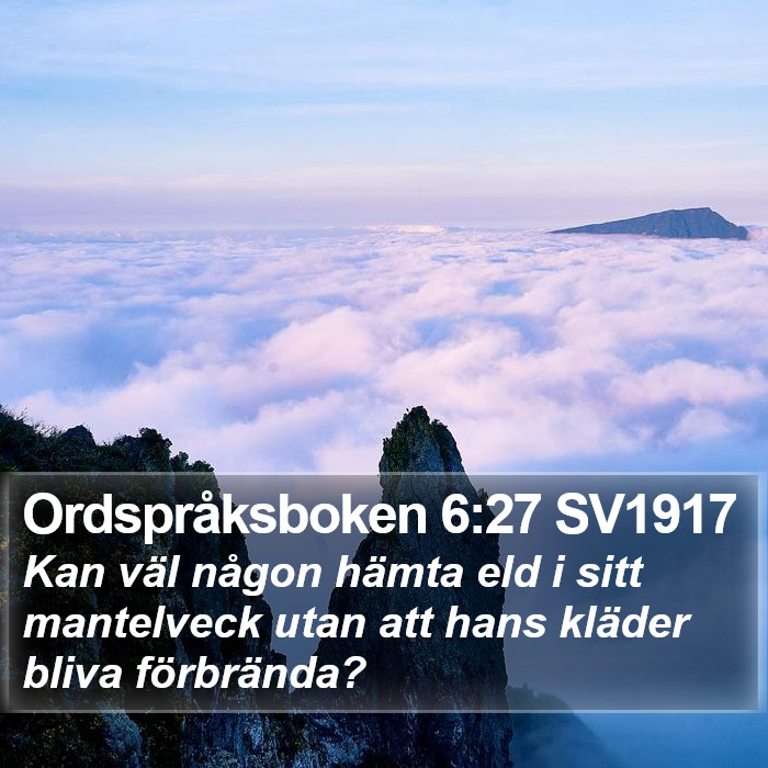Ordspråksboken 6:27 SV1917 Bible Study