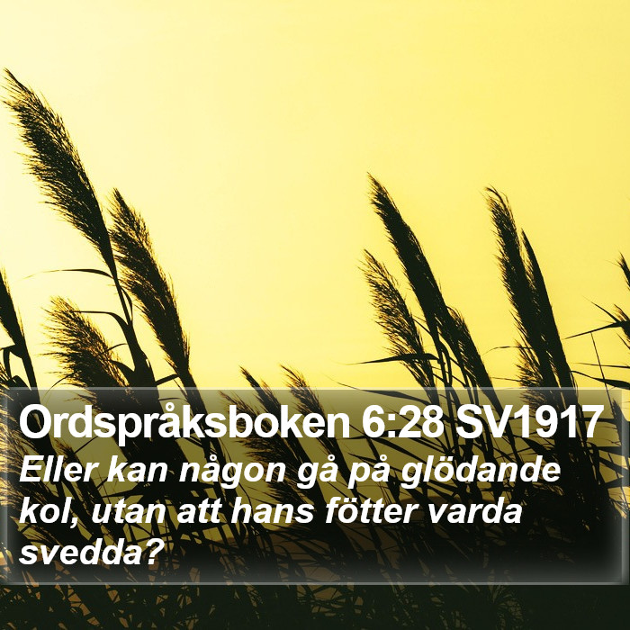 Ordspråksboken 6:28 SV1917 Bible Study