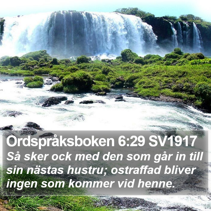 Ordspråksboken 6:29 SV1917 Bible Study