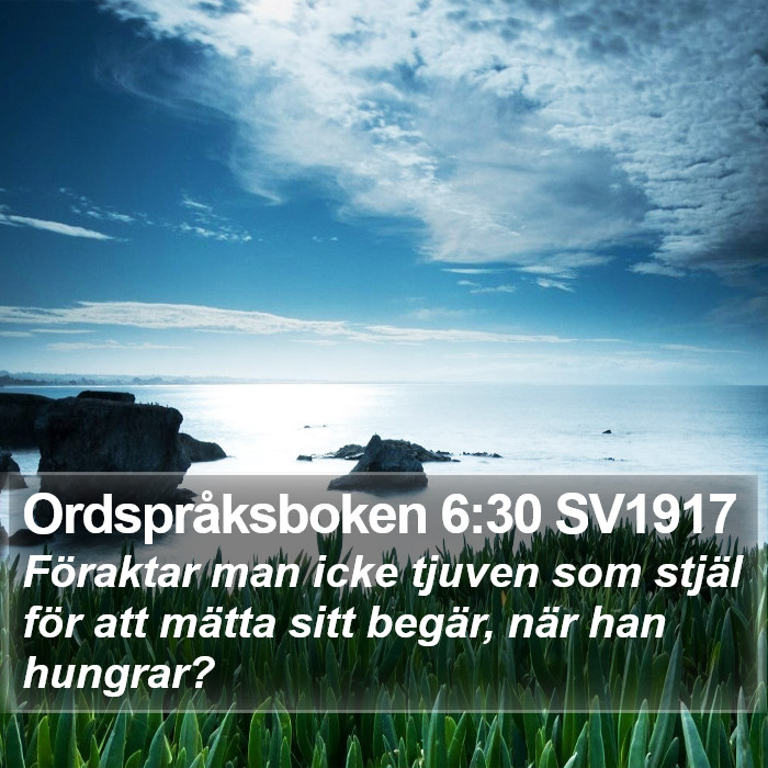 Ordspråksboken 6:30 SV1917 Bible Study