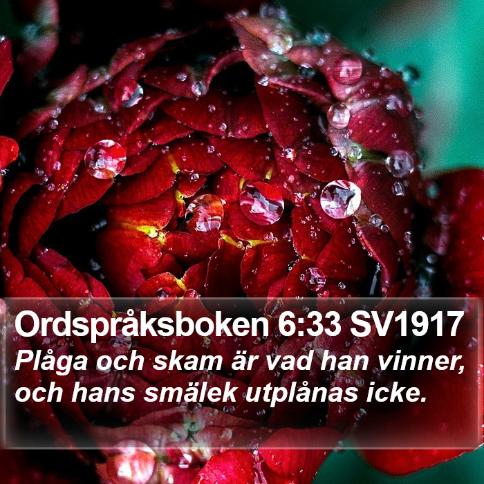 Ordspråksboken 6:33 SV1917 Bible Study