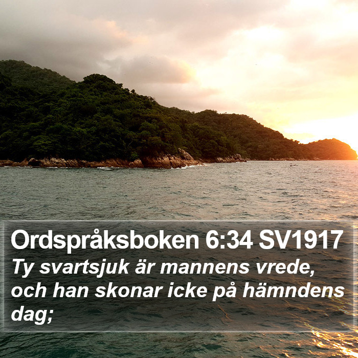 Ordspråksboken 6:34 SV1917 Bible Study