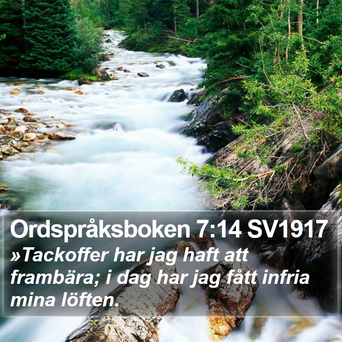 Ordspråksboken 7:14 SV1917 Bible Study