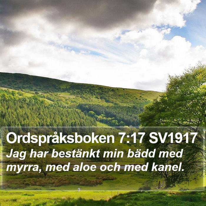 Ordspråksboken 7:17 SV1917 Bible Study