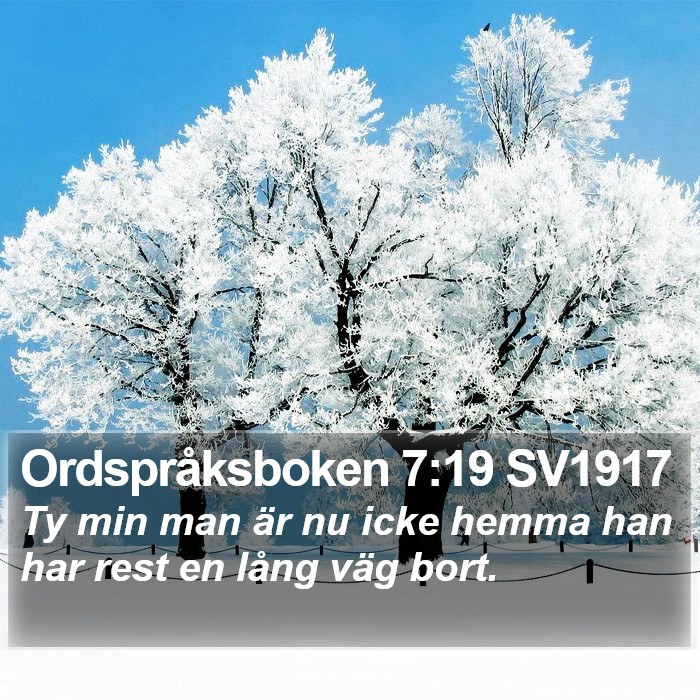 Ordspråksboken 7:19 SV1917 Bible Study