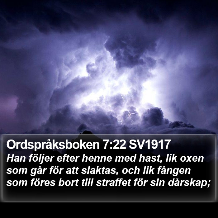 Ordspråksboken 7:22 SV1917 Bible Study