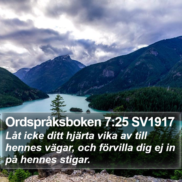 Ordspråksboken 7:25 SV1917 Bible Study