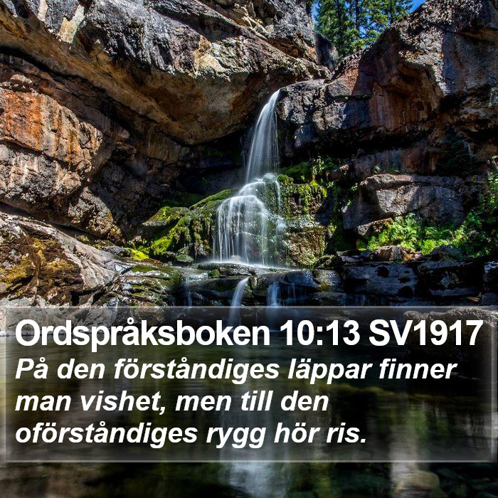 Ordspråksboken 10:13 SV1917 Bible Study