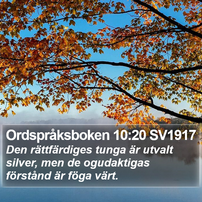 Ordspråksboken 10:20 SV1917 Bible Study