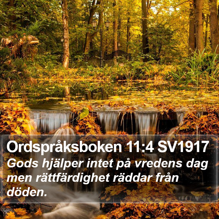 Ordspråksboken 11:4 SV1917 Bible Study