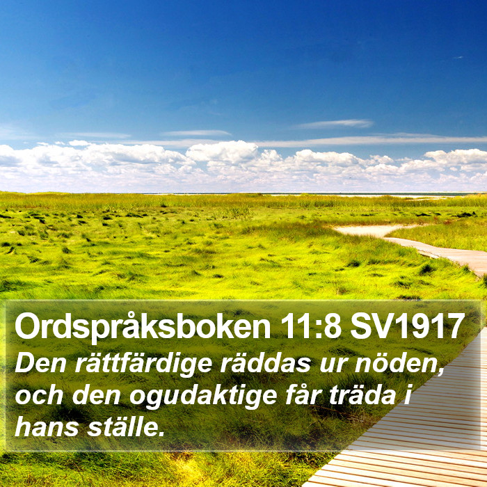 Ordspråksboken 11:8 SV1917 Bible Study