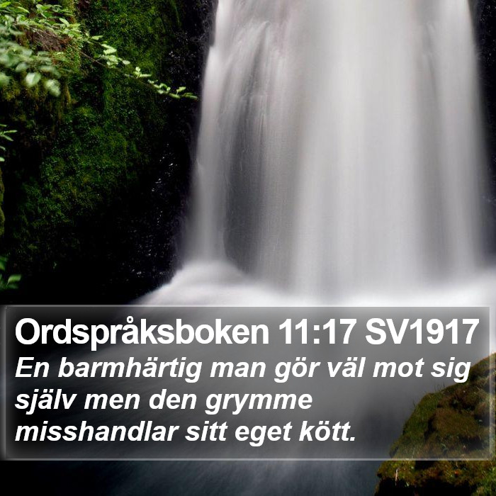 Ordspråksboken 11:17 SV1917 Bible Study