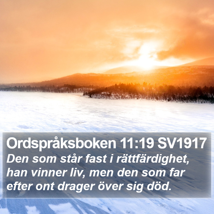 Ordspråksboken 11:19 SV1917 Bible Study