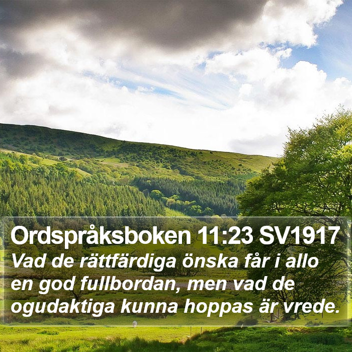 Ordspråksboken 11:23 SV1917 Bible Study