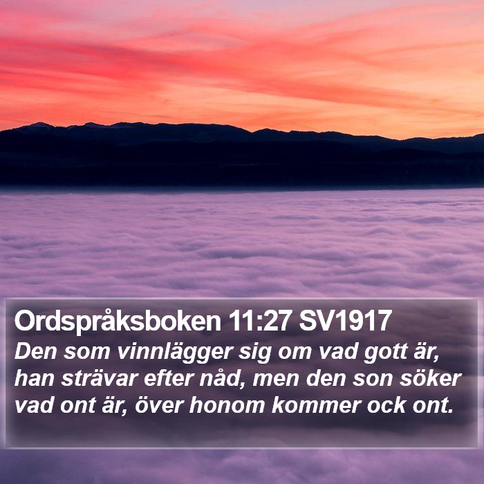 Ordspråksboken 11:27 SV1917 Bible Study