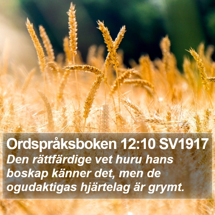 Ordspråksboken 12:10 SV1917 Bible Study