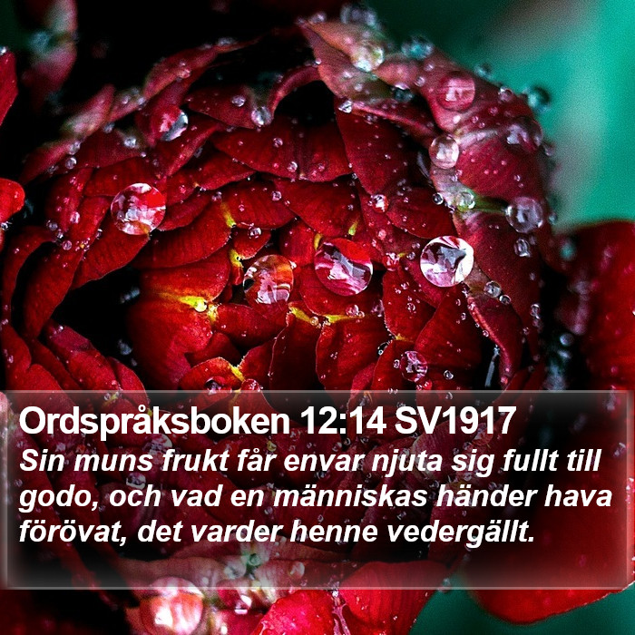 Ordspråksboken 12:14 SV1917 Bible Study