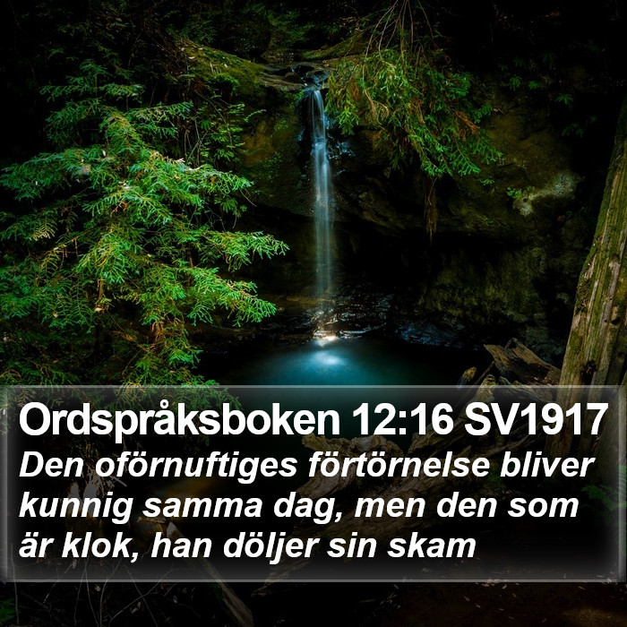 Ordspråksboken 12:16 SV1917 Bible Study