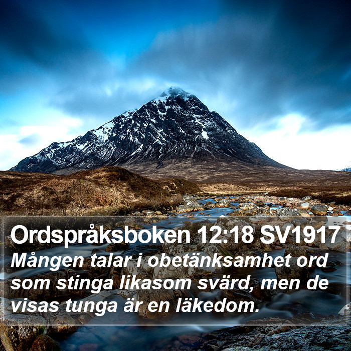 Ordspråksboken 12:18 SV1917 Bible Study