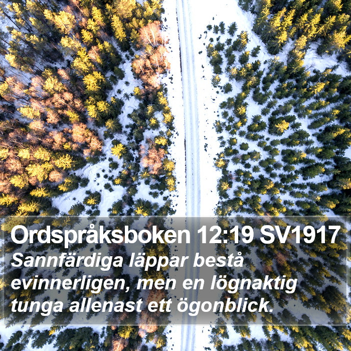 Ordspråksboken 12:19 SV1917 Bible Study