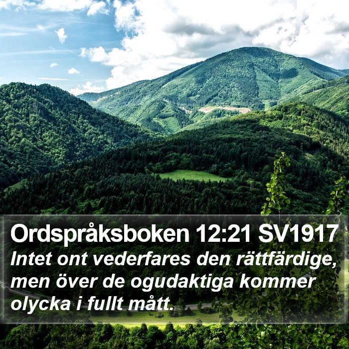 Ordspråksboken 12:21 SV1917 Bible Study