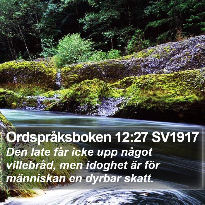 Ordspråksboken 12:27 SV1917 Bible Study