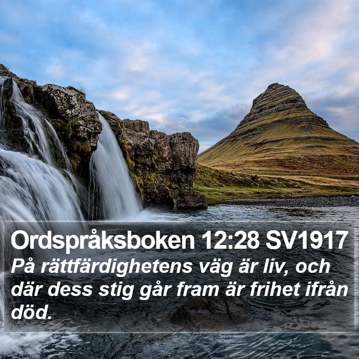 Ordspråksboken 12:28 SV1917 Bible Study