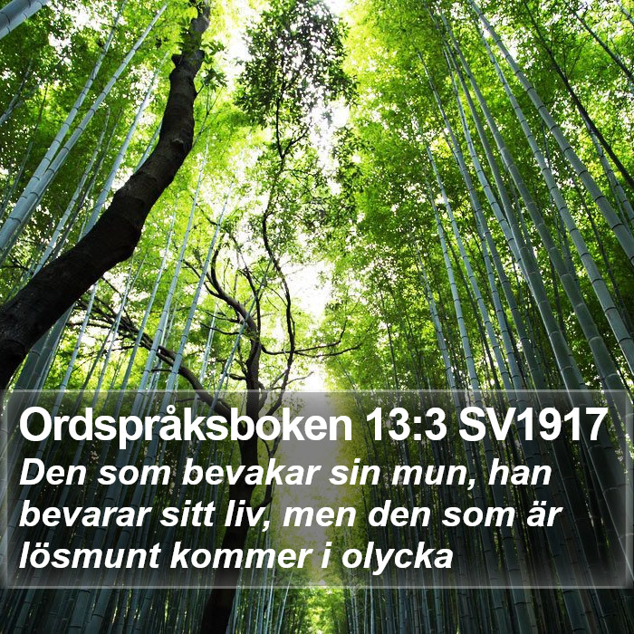 Ordspråksboken 13:3 SV1917 Bible Study