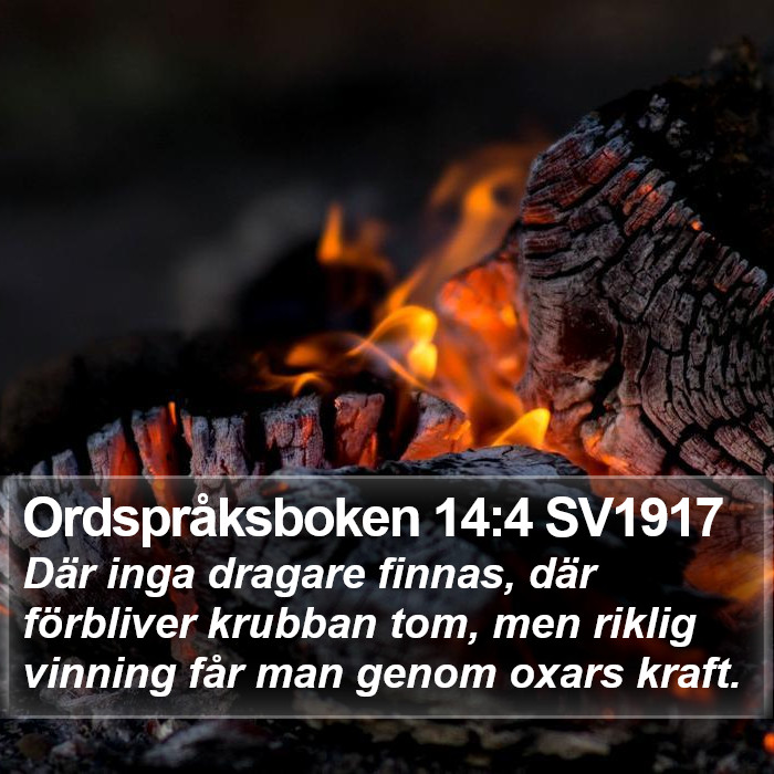 Ordspråksboken 14:4 SV1917 Bible Study