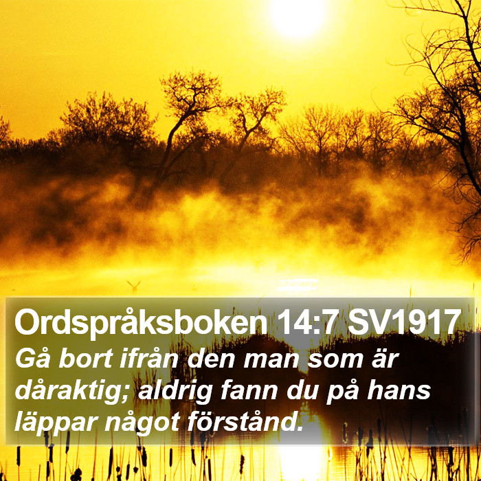 Ordspråksboken 14:7 SV1917 Bible Study