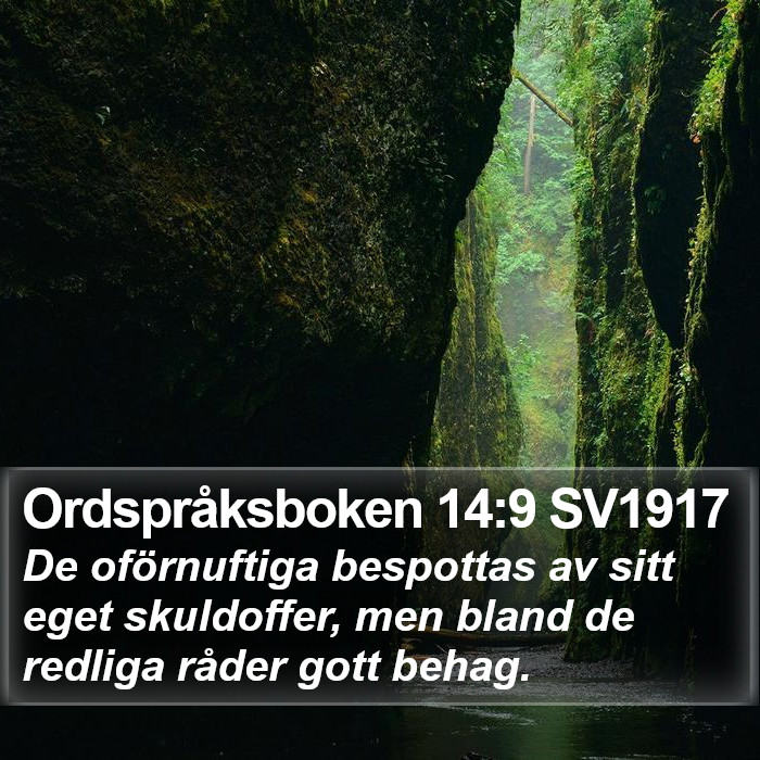 Ordspråksboken 14:9 SV1917 Bible Study