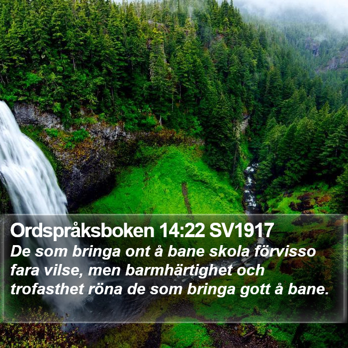 Ordspråksboken 14:22 SV1917 Bible Study