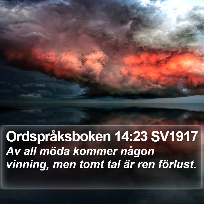 Ordspråksboken 14:23 SV1917 Bible Study