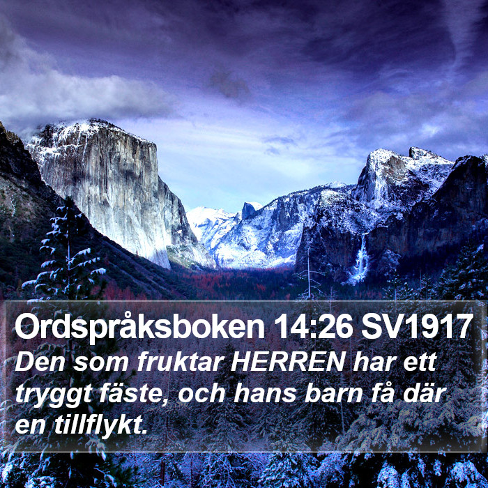 Ordspråksboken 14:26 SV1917 Bible Study