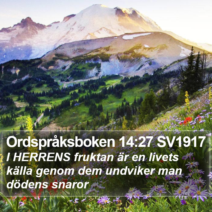 Ordspråksboken 14:27 SV1917 Bible Study