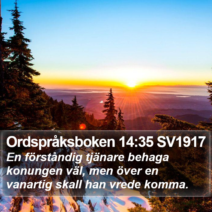 Ordspråksboken 14:35 SV1917 Bible Study