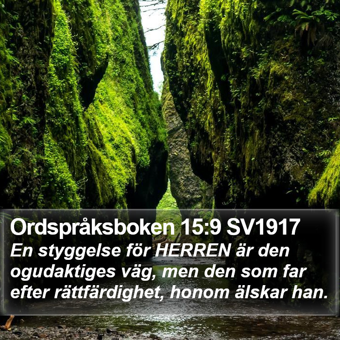 Ordspråksboken 15:9 SV1917 Bible Study