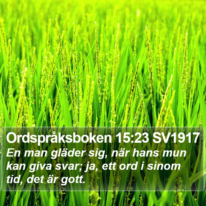 Ordspråksboken 15:23 SV1917 Bible Study